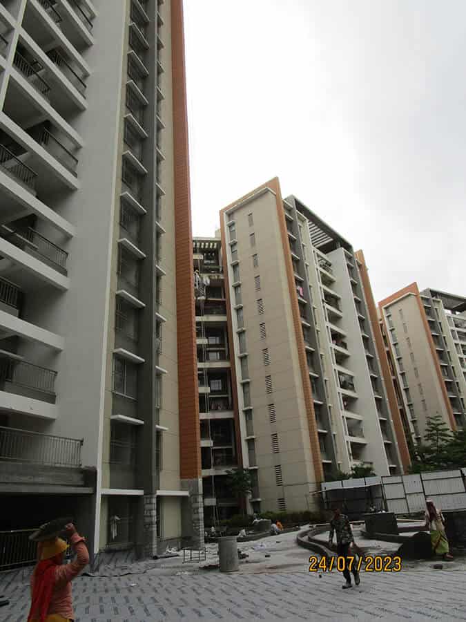 park-ivory-project-update-july-3